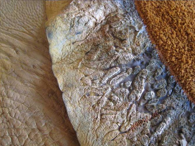 When the cartilage rips out of elephant ear in the splitting process it leaves incredible patterns.