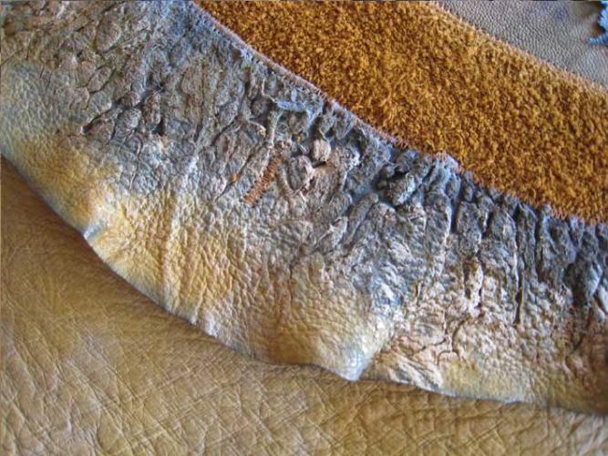 When the cartilage rips out of elephant ear in the splitting process it leaves incredible patterns.