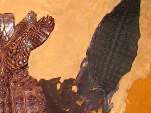 Close up detail of the crocodile skin in Confrontation by Beatrix Bosch