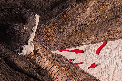 The amazing textures of the unique leather artworks by Beatrix Bosch